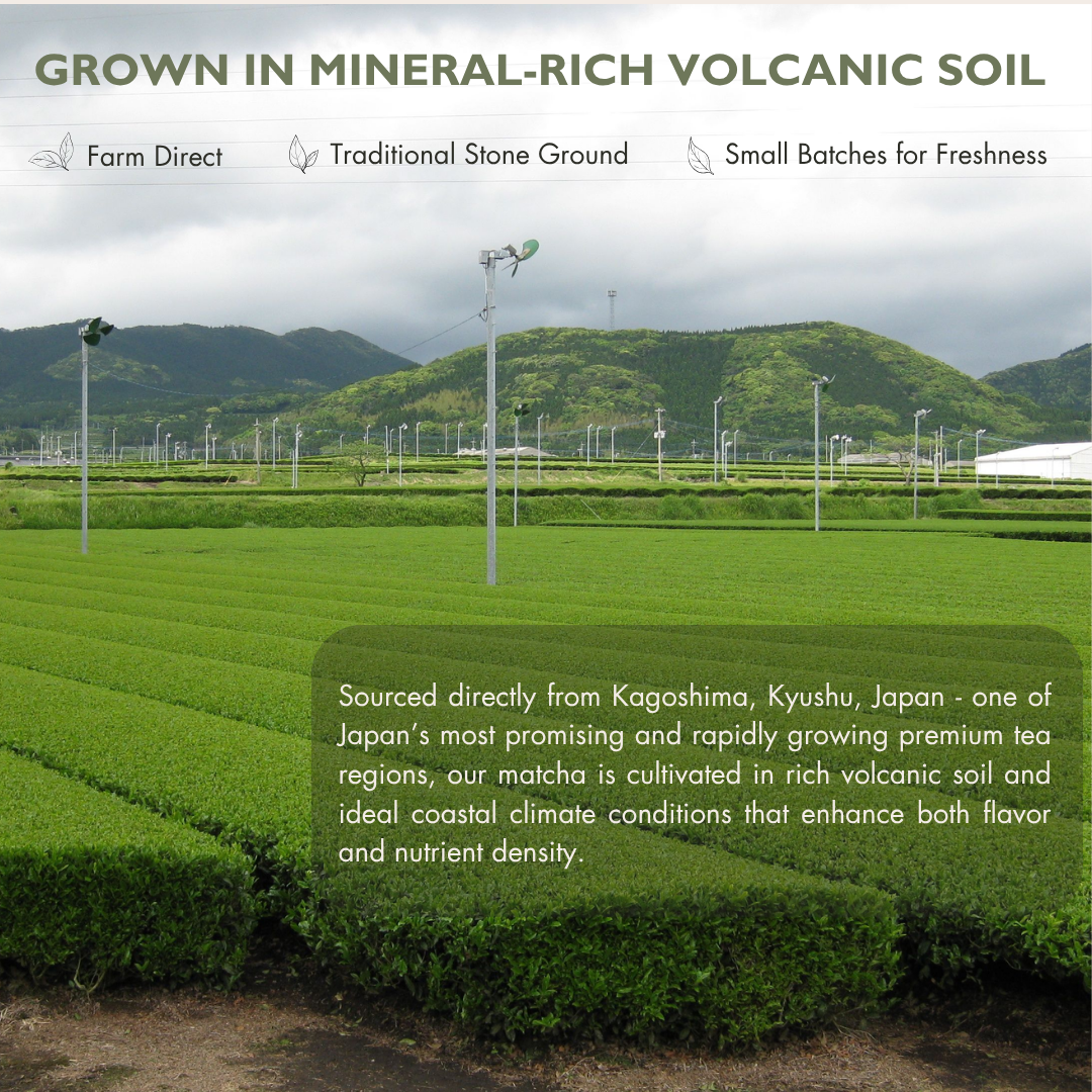 Kagoshima Ceremonial Grade Japanese Matcha