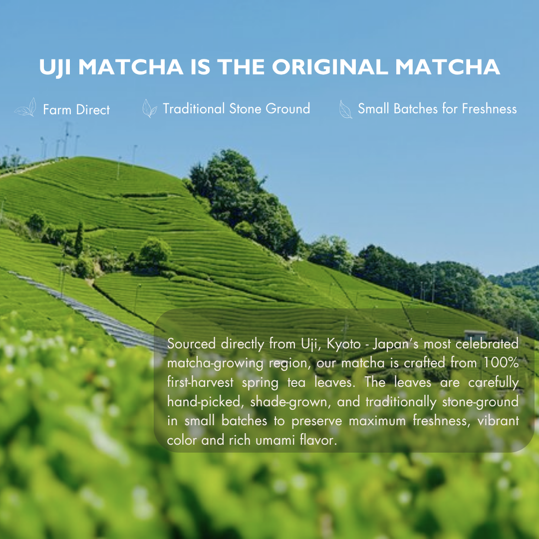 Uji Ceremonial Grade Japanese Matcha