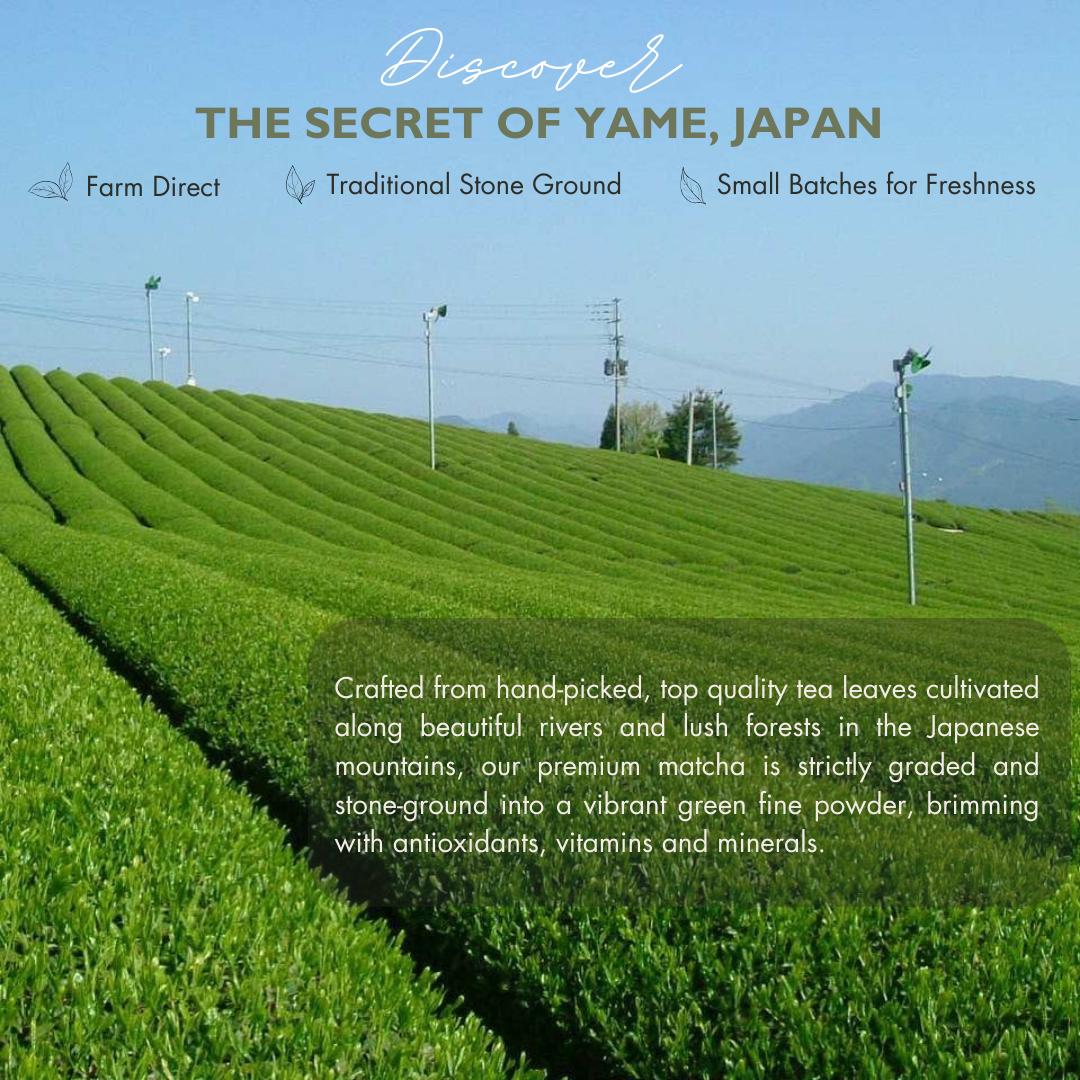 BLACK FRIDAY SALE: 15% OFF | Yame Premium Japanese Matcha |Zen Premium Matcha